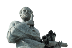 Aristotle Political Ideas PSIR