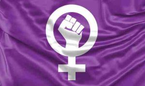 Ideology of feminism in psir optional