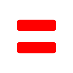 equal symbol and equality in psir